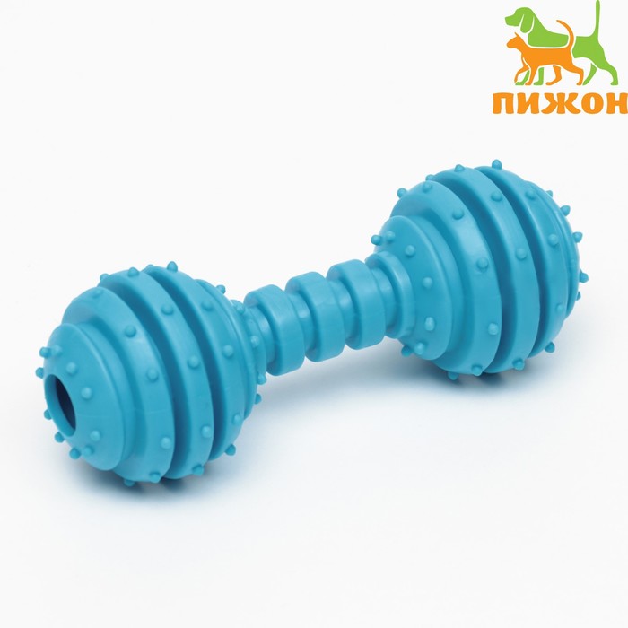 Жевательная игрушка для собак «Чемпион», 12.5 см, TPR, голубая