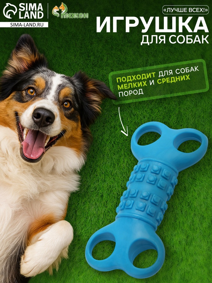 Жевательная игрушка для собак «Лучше всех!», 12 см, TPR, голубая