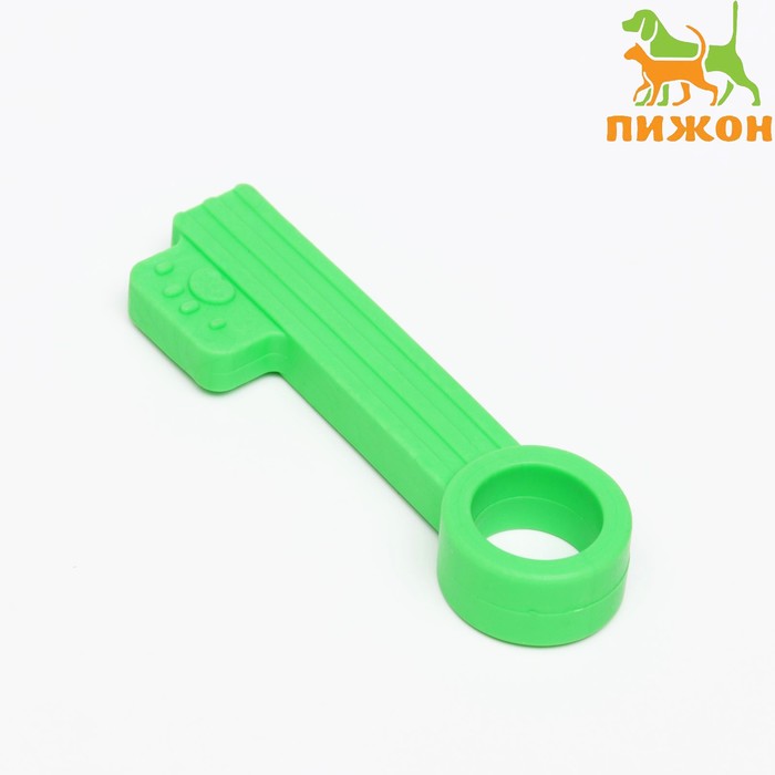 Жевательная игрушка для собак «Ключик», 10 см, TPR, зелёная