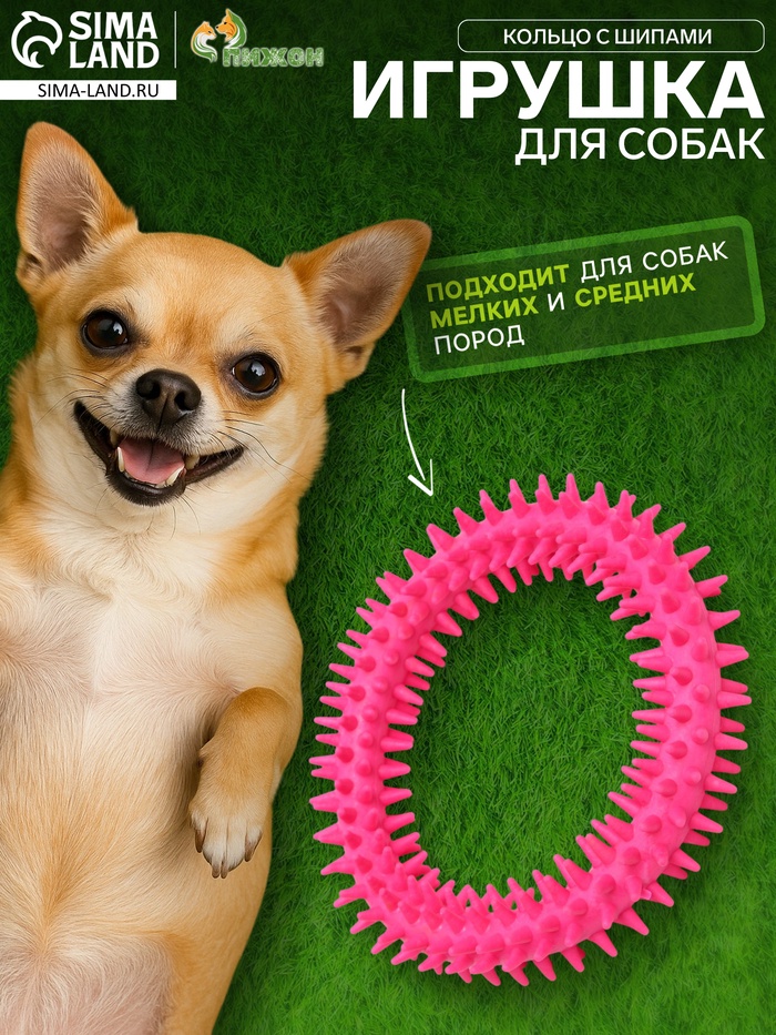 Игрушка для собак «Кольцо с шипами», 12.5 см, розовая