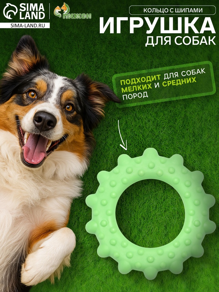 Жевательная игрушка для собак «Кольцо с шипами», 8.5 см, TPR, зелёная