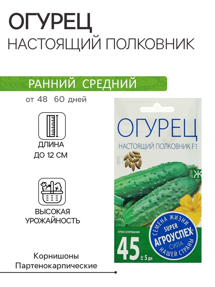 Семена Огурец «Настоящий полковник», F1, ранний, партенокарпический, 8 шт., «Агроуспех»