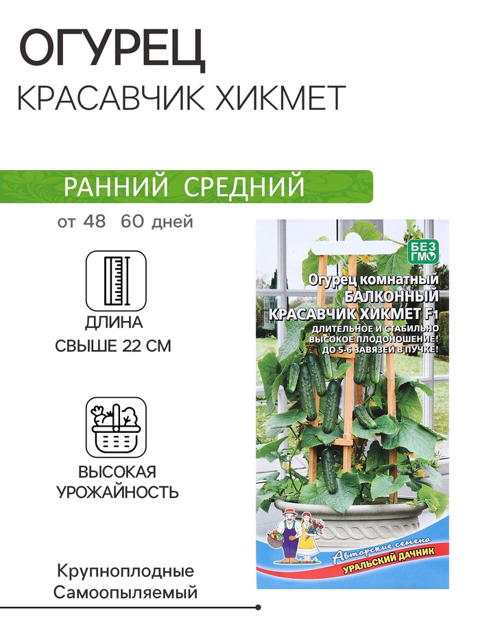 Семена Огурец «Красавчик Хикмет», F1, для балконов и подоконников, 6 шт., «Уральский Дачник»