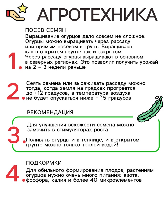 Семена огурца