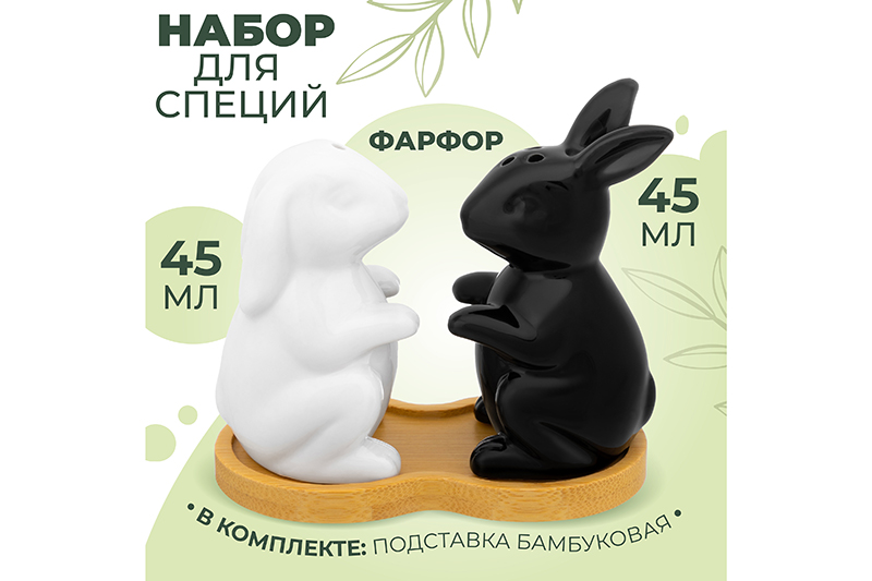 Набор д/специй 2 пр. 10,5*5,8*9,8 см