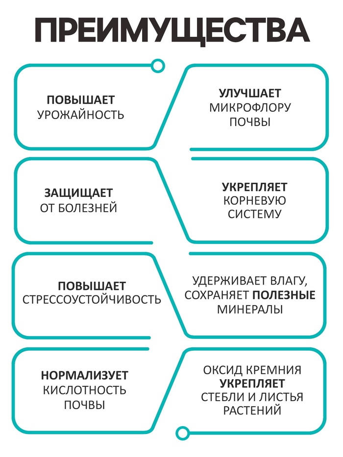 Диатомит «Рецепты Дедушки Никиты» сушеный, фр 2-4, 1 л