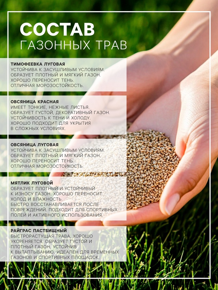 Газонная травосмесь «Универсальный» 25 кг