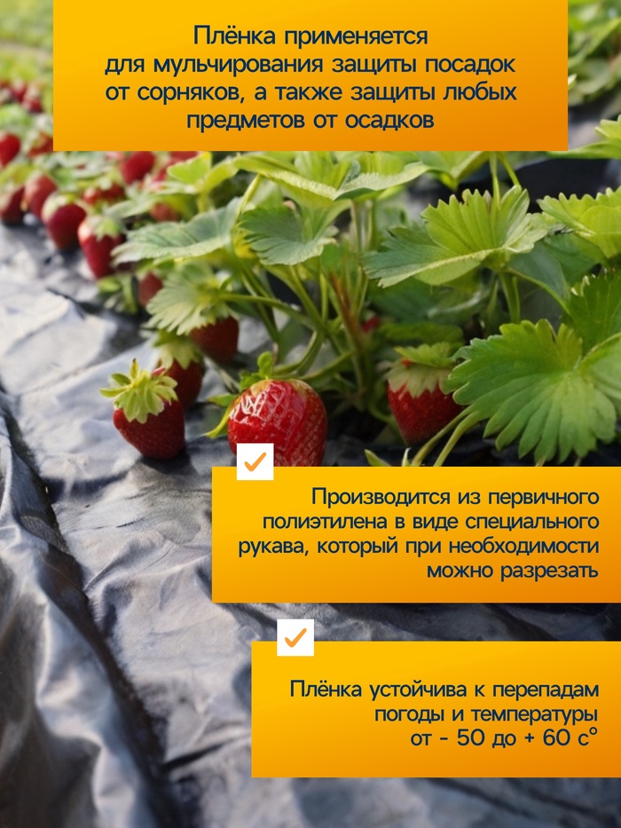 Плёнка из полиэтилена, техническая, толщина 100 мкм, чёрная, длина 100 м, ширина 3 м, рукав (1.5 м×2), Эконом 50%, Greengo