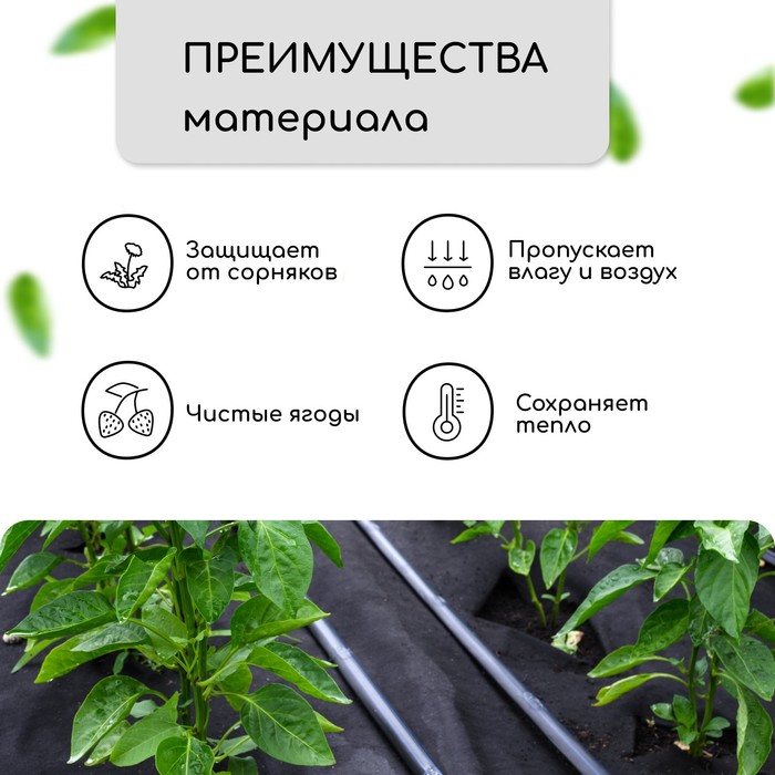 Материал мульчирующий, 5×1.6 м, плотность 80 г/м², спанбонд с УФ-стабилизатором, чёрный, Greengo, Эконом 30%