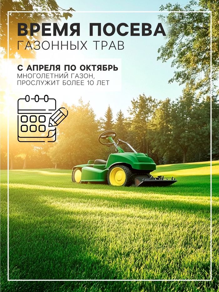 Газонная травосмесь «Красотень Гном», 0.5 кг