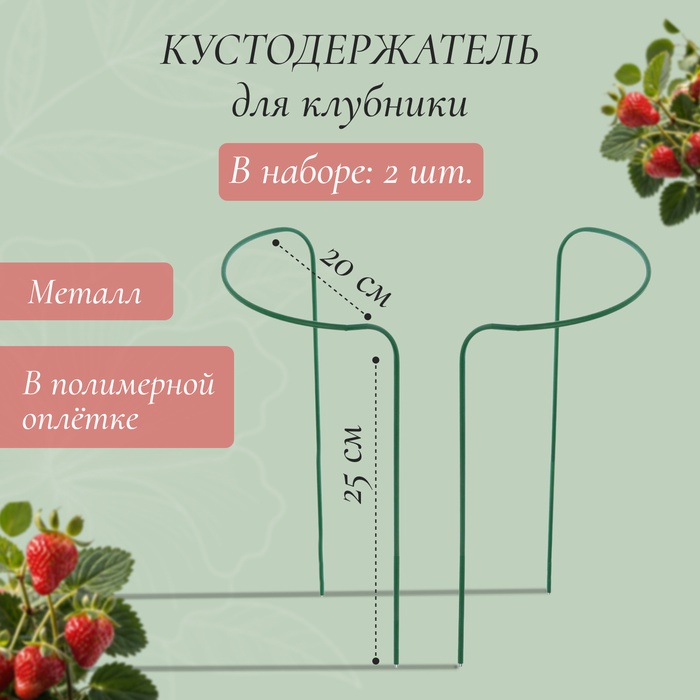 Кустодержатель для клубники, d=20 см, h=25 см, ножка d=0.3 см, металл, зелёный