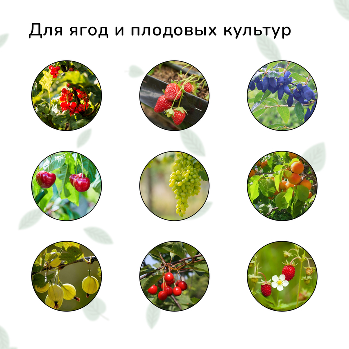 Сетка садовая, мягкая, 10×2 м, ячейка 15×15 мм, от птиц, Greengo