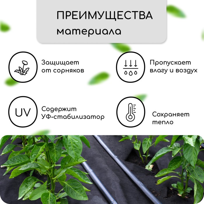 Материал мульчирующий, 10×1.6 м, плотность 60 г/м², спанбонд с УФ-стабилизатором, четыре ряда перфорации, чёрный, Greengo