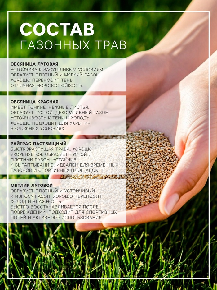Газонная травосмесь «Абсолют Спорт», 20 кг