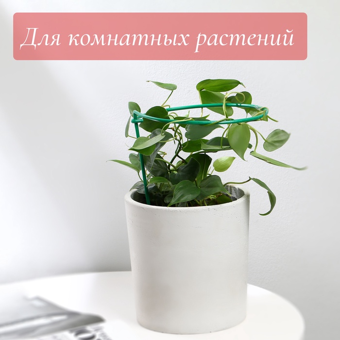 Кустодержатель для клубники, d=15 см, h=25 см, ножка d=0.3 см, металл, зелёный, Greengo