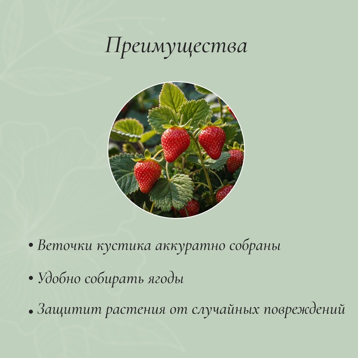 Кустодержатель для клубники, d=25.5 см, пластик, набор 5 шт., чёрный