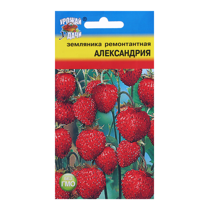Семена Земляника
