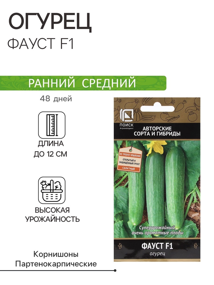 Семена Огурец