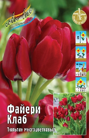 Тюльпан Файери Клаб (В упаковке 7 шт.)