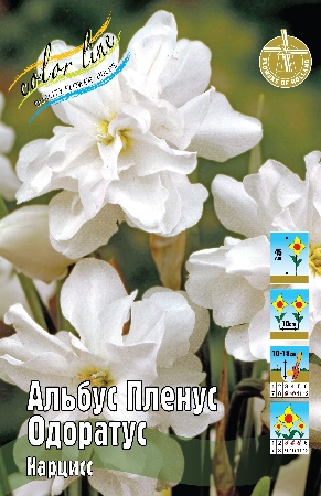 Нарцисс Альбус Пленус Одоратус (В упаковке 3 шт.)