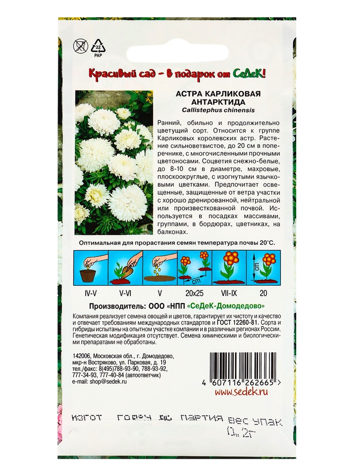 Семена Цветов Астра