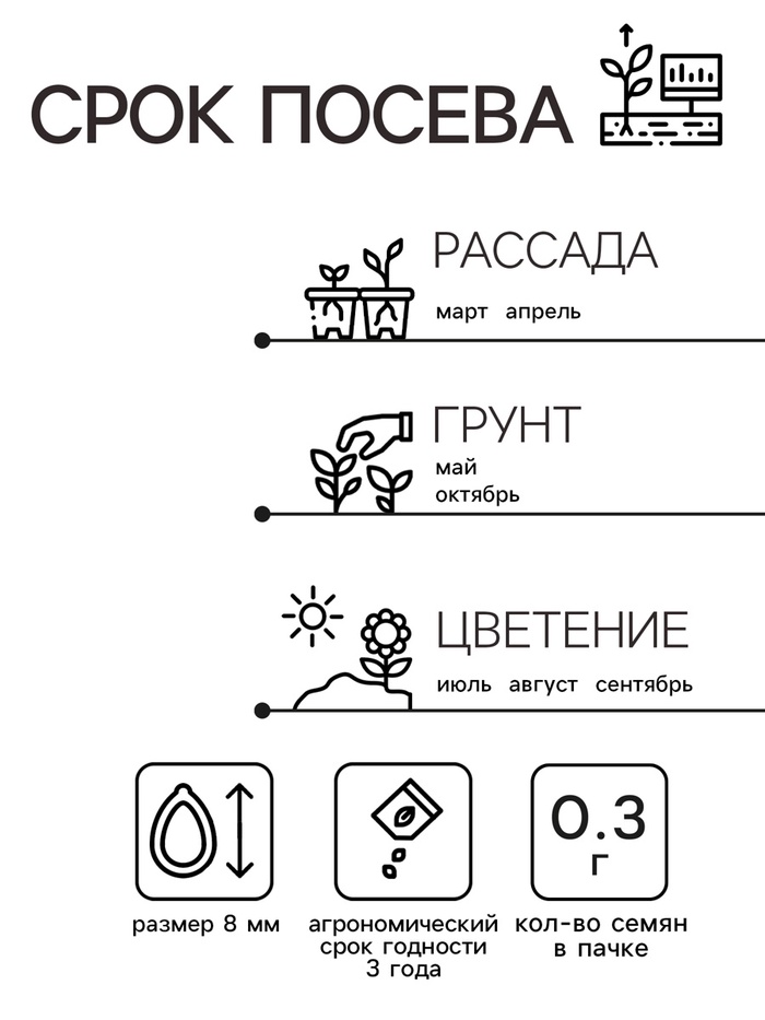 Семена Астра «Ковёр Радуга», 0.3 г, «Агрос»