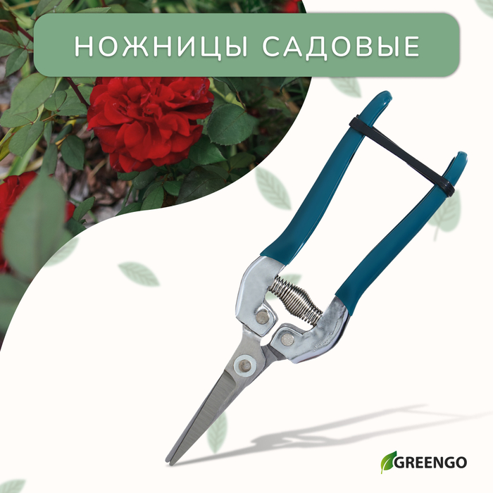 Ножницы садовые, 7