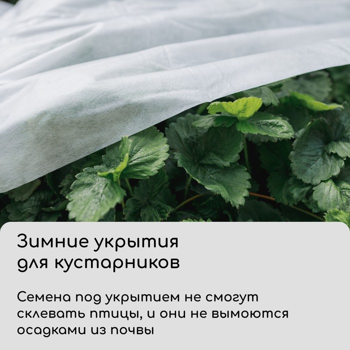 Материал укрывной, 5×3.2 м, плотность 80 г/м², спанбонд с УФ-стабилизатором, белый, Greengo, Эконом 30%