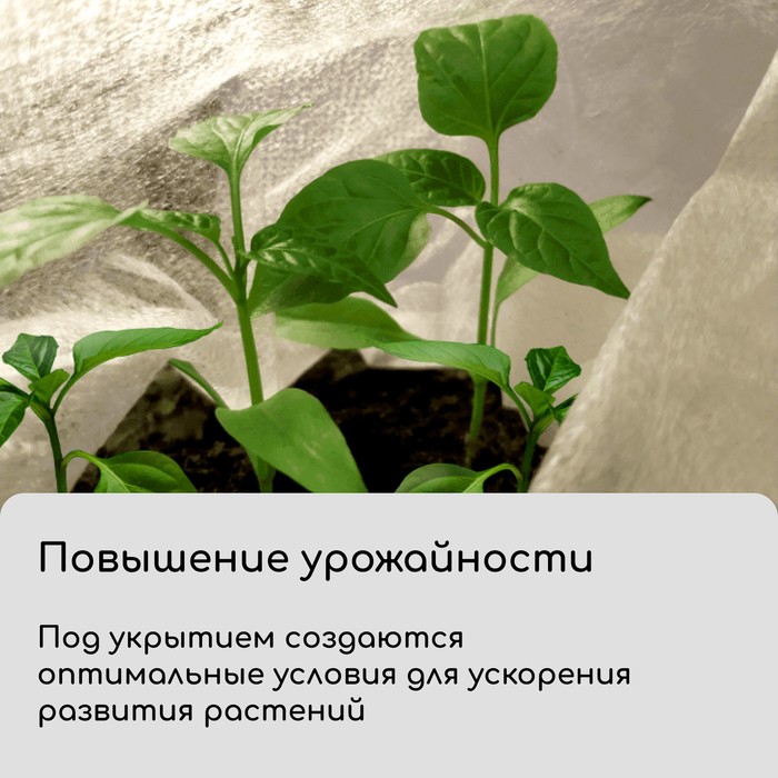 Материал укрывной, 10×1.6 м, плотность 42 г/м², спанбонд с УФ-стабилизатором, белый, Greengo, Эконом 30%