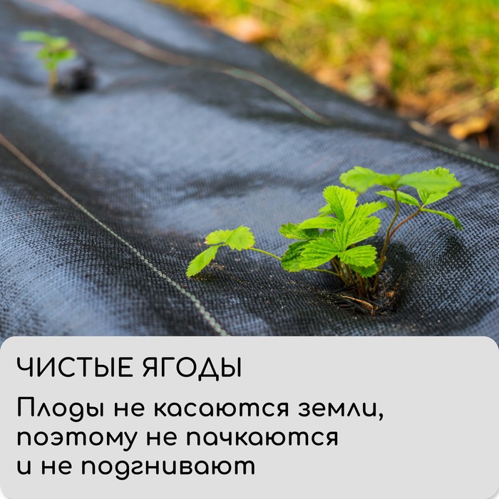 Агроткань застилочная, с разметкой, 10×3.2 м, плотность 100 г/м², полипропилен, Greengo, Эконом 50%