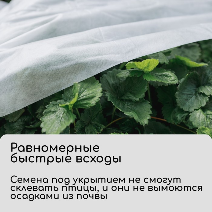 Материал укрывной, 10×1.6 м, плотность 30 г/м², спанбонд с УФ-стабилизатором, белый, Greengo, Эконом 30%