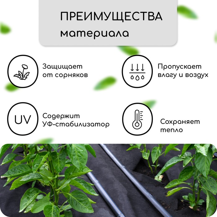 Материал мульчирующий, с перфорацией, 10×1.6 м, плотность 80 г/м², спанбонд с УФ-стабилизатором, чёрный, Greengo, Эконом 30%