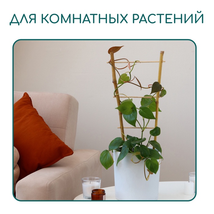 Шпалера, 60×20×1 см, бамбук, «Одинарная», Greengo