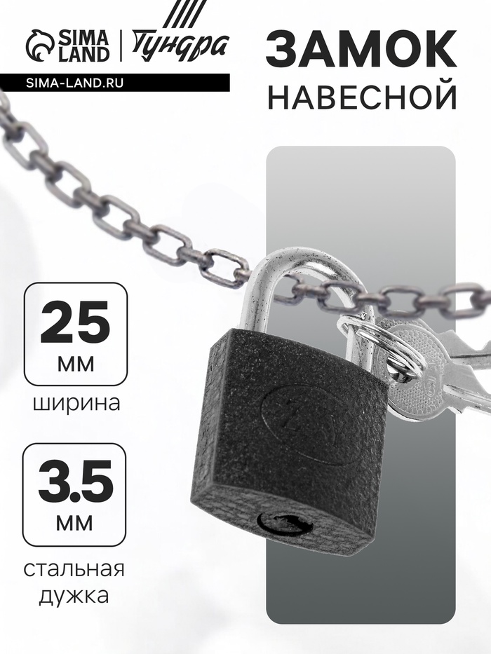 Замок навесной, тип 10, 25×42 мм, 2 ключа