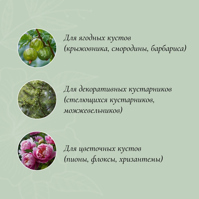 Кустодержатель, d=50 см, h=90 см, ножка d=1 см, металл, набор 2 шт., зелёный