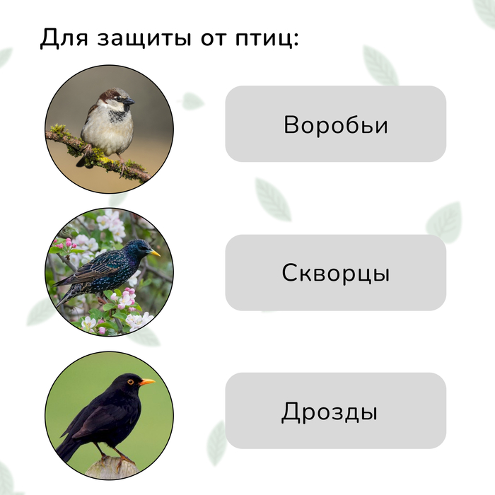 Сетка садовая, мягкая, 5×2 м, ячейка 15×15 мм, от птиц, Greengo