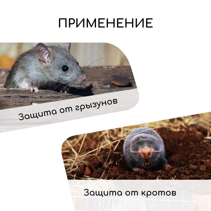 Сетка оцинкованная, сварная, 10×1 м, ячейка 12.5×12.5 мм, d=0.6 мм, Greengo