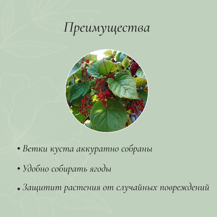 Кустодержатель, d=40 см, h=60 см, ножка d=0.3 см, металл, набор 2 шт., зелёный, Greengo