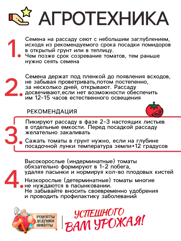 Семена Томат «Хурма», 0.1 г, «Рецепты дедушки Никиты»