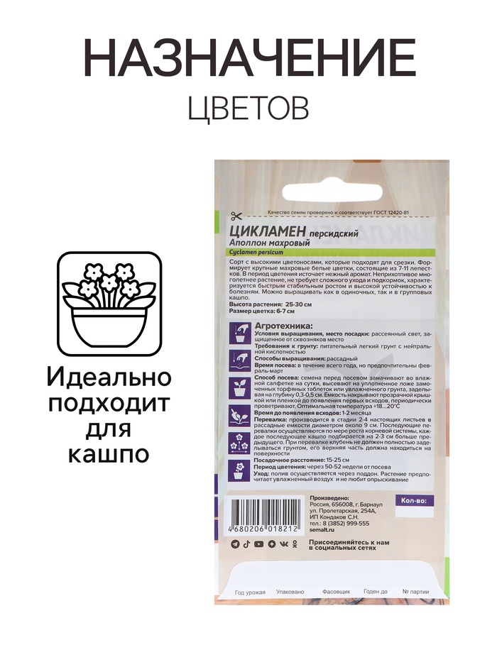 Семена комнатных цветов Цикламен «Аполлон», 3 шт., «Семена Алтая»