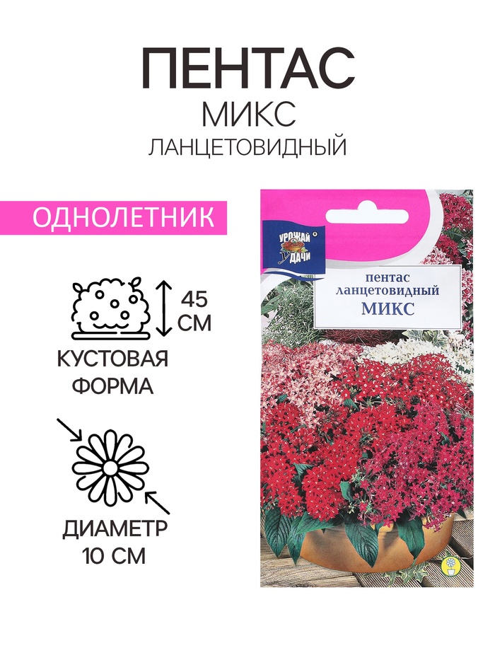 Семена цветов Пентас ланцетовидный