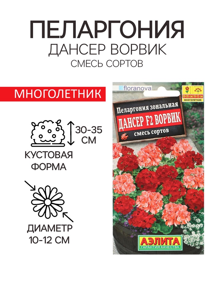 Семена цветов Пеларгония