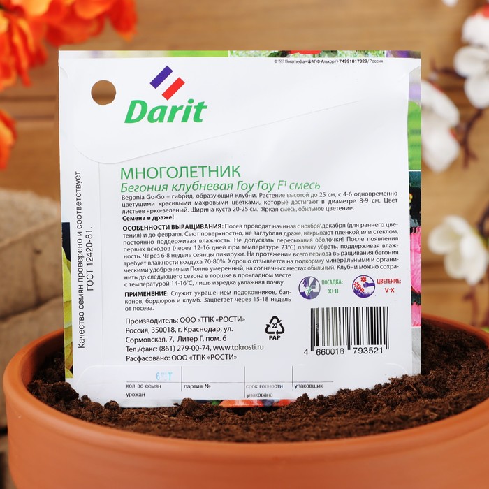 Семена цветов Бегония