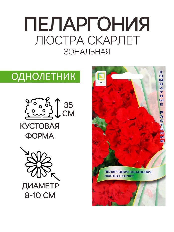 Семена цветов Пеларгония зональная «Люстра Скарлет», 5 шт., «ПОИСК»