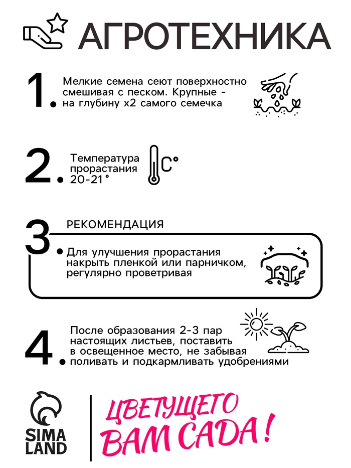 Семена цветов Пеларгония зональная