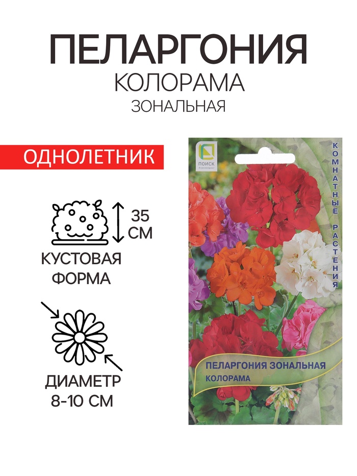Семена цветов Пеларгония зональная