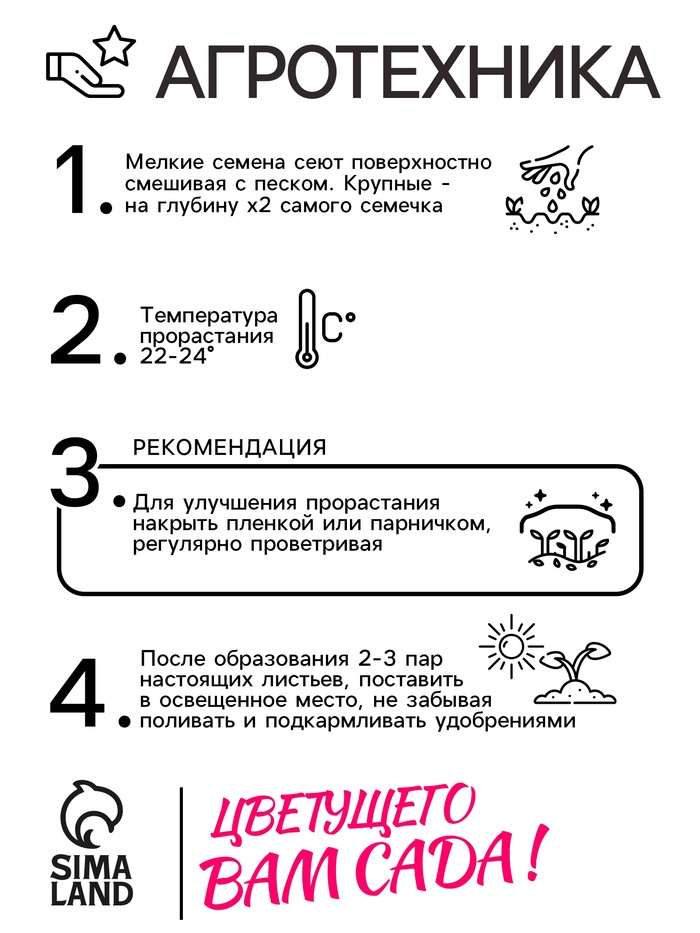 Семена комнатных цветов Пеларгония «Эйплблоссом», 4 шт., «Агроуспех»