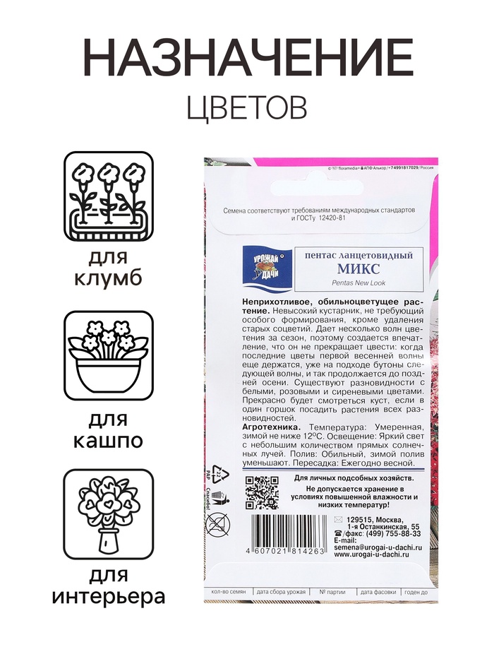 Семена цветов Пентас ланцетовидный
