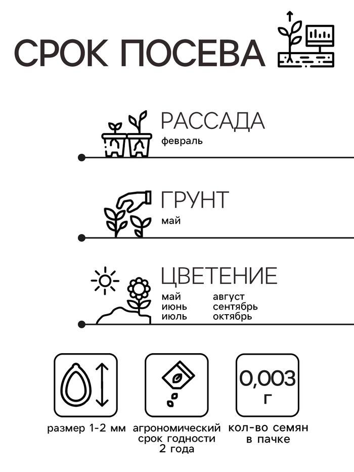 Семена цветов Пентас ланцетовидный