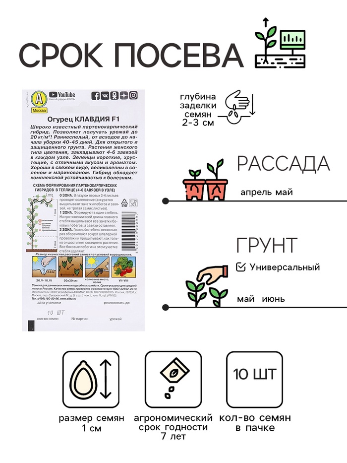 Семена Огурец «Клавдия», F1, партенокарпический, раннеспелый, 10 шт., «Агрофирма АЭЛИТА»